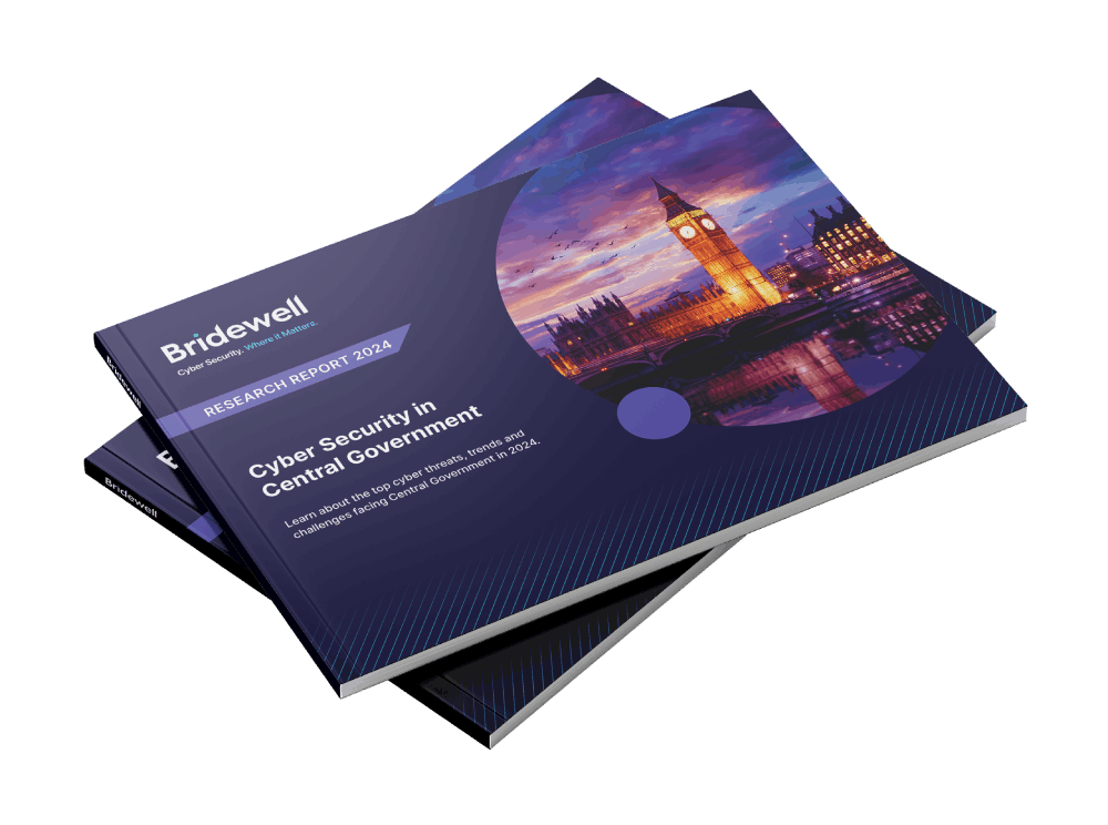 CNI Research Report 2024 Central Government