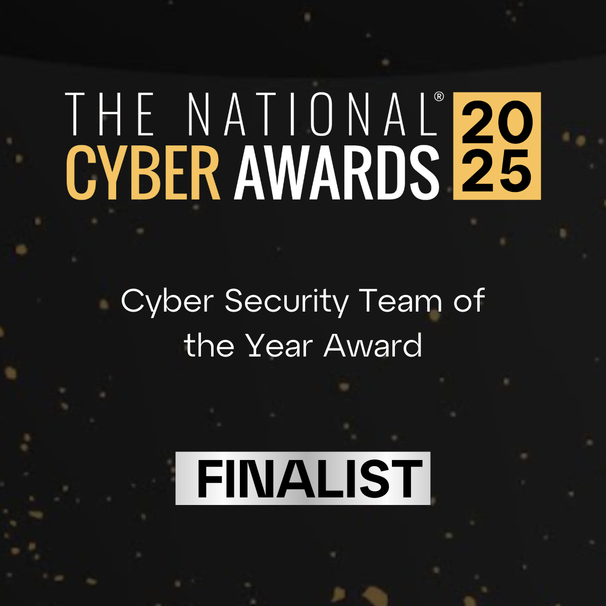 Cyber team of the year