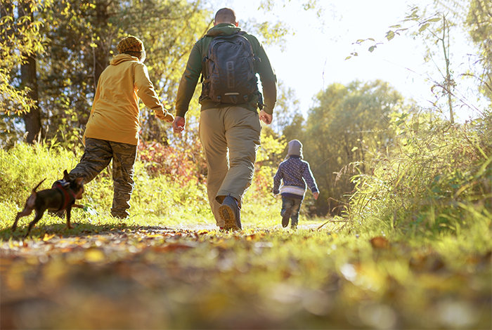 family and personal life family and dog walking through the woods on a sunny day
