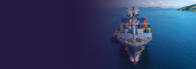 Cyber Security in Maritime: 2025 banner image