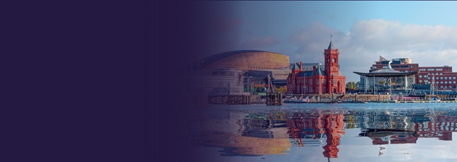 Bridewell Supports WLGA With Wales-Wide CAF Assessment Programme to Strengthen Cyber Security Maturity banner image