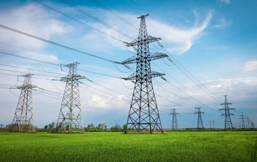 Our Clients Trust Us With the Life of Their Business. Here’s Why.